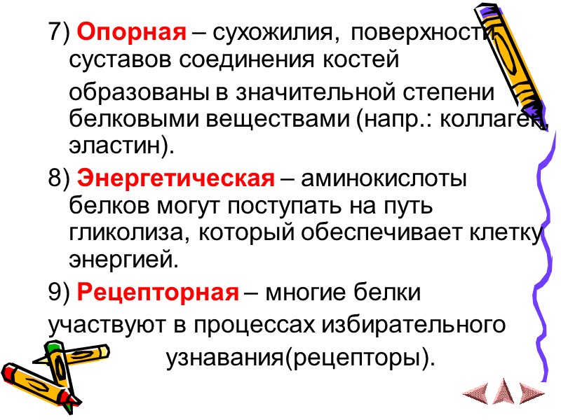 7) Опорная – сухожилия, поверхности суставов соединения костей     образованы в